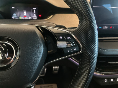 Skoda Enyaq Gebrauchtwagen Skoda Enyaq Gebrauchtwagen
