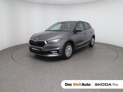Skoda Fabia Gebrauchtwagen Skoda Fabia Gebrauchtwagen