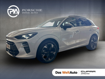 Cupra Terramar Gebrauchtwagen