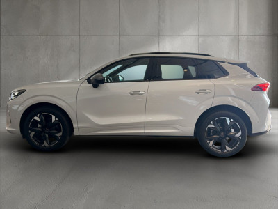 Cupra Terramar Gebrauchtwagen