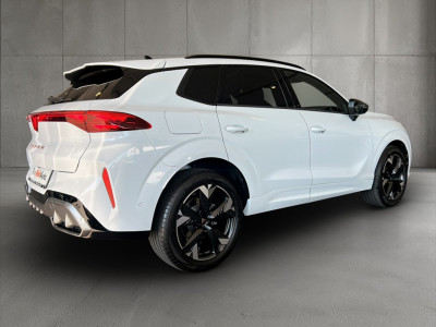 Cupra Terramar Gebrauchtwagen