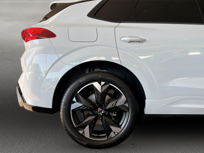 Cupra Terramar Gebrauchtwagen