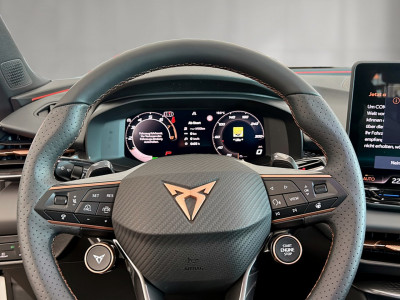 Cupra Terramar Gebrauchtwagen