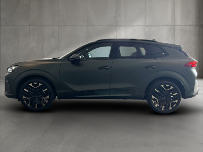 Cupra Terramar Gebrauchtwagen Cupra Terramar Gebrauchtwagen
