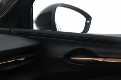Cupra Raval Gebrauchtwagen