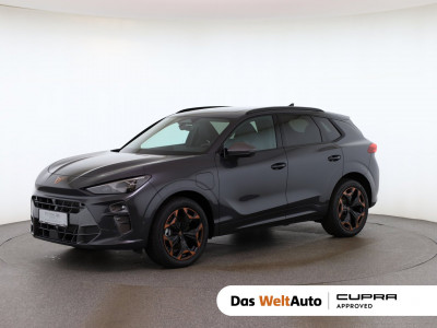 Cupra Terramar Gebrauchtwagen