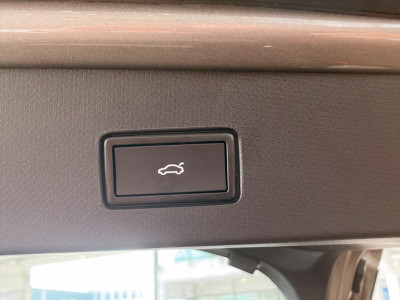 Cupra Tavascan Gebrauchtwagen Cupra Tavascan Gebrauchtwagen