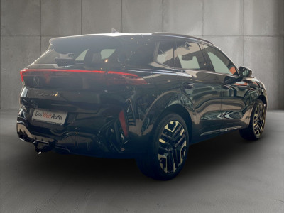 Cupra Terramar Gebrauchtwagen Cupra Terramar Gebrauchtwagen