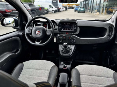 Fiat Panda Gebrauchtwagen