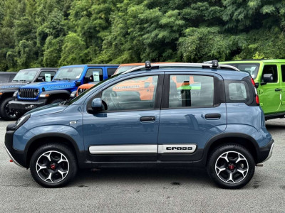 Fiat Panda Gebrauchtwagen