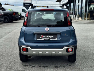 Fiat Panda Gebrauchtwagen