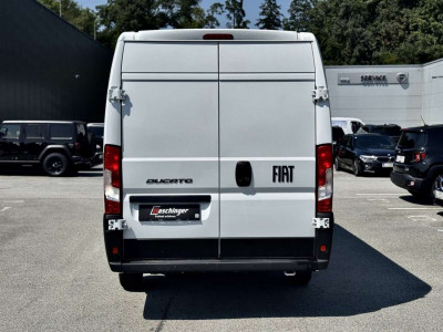 Fiat Ducato Tageszulassung