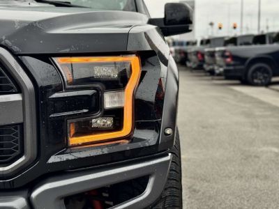 Ford F-150/F-250 Gebrauchtwagen