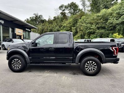 Ford F-150/F-250 Gebrauchtwagen