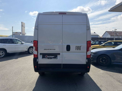 Fiat Ducato Neuwagen