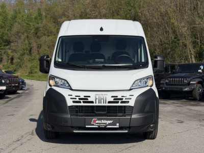 Fiat Ducato Neuwagen