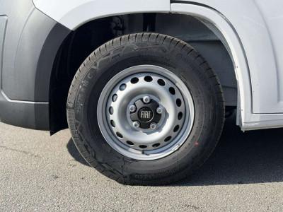 Fiat Ducato Neuwagen