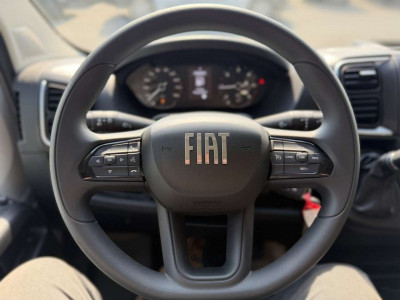 Fiat Ducato Gebrauchtwagen