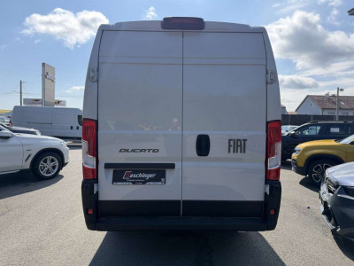 Fiat Ducato Gebrauchtwagen