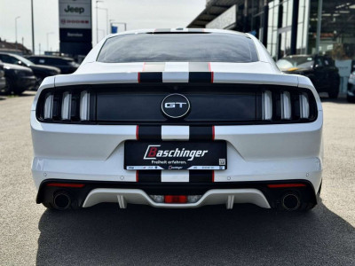 Ford Mustang Gebrauchtwagen