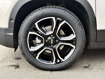 Jeep Avenger Tageszulassung