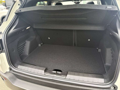 Jeep Avenger Tageszulassung