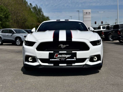 Ford Mustang Gebrauchtwagen Ford Mustang Gebrauchtwagen