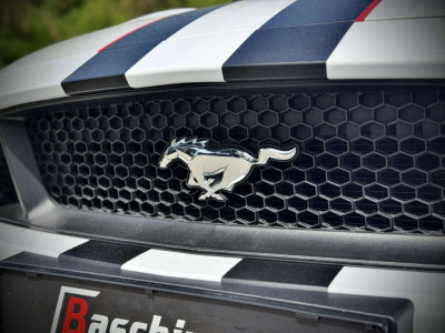 Ford Mustang Gebrauchtwagen Ford Mustang Gebrauchtwagen