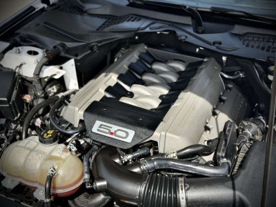 Ford Mustang Gebrauchtwagen Ford Mustang Gebrauchtwagen