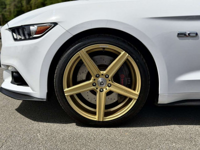 Ford Mustang Gebrauchtwagen Ford Mustang Gebrauchtwagen