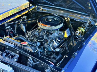 Ford Mustang Gebrauchtwagen