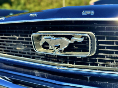 Ford Mustang Gebrauchtwagen