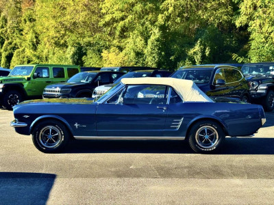 Ford Mustang Gebrauchtwagen