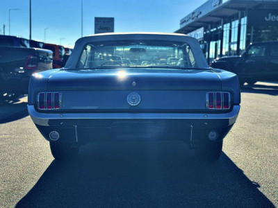 Ford Mustang Gebrauchtwagen