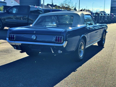 Ford Mustang Gebrauchtwagen