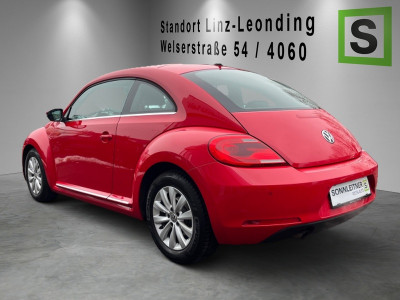 VW Beetle Gebrauchtwagen