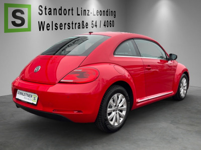 VW Beetle Gebrauchtwagen