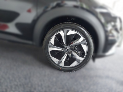 Nissan Juke Tageszulassung