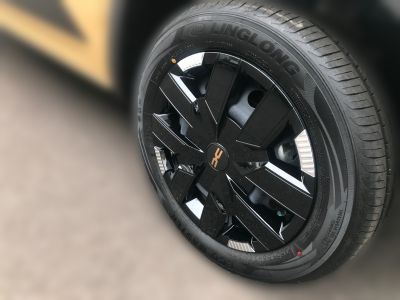 Dacia Spring Neuwagen