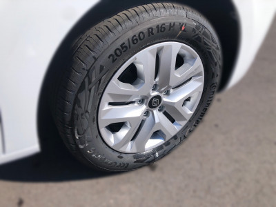 Renault Kangoo Tageszulassung