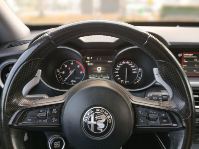 Alfa Romeo Stelvio Gebrauchtwagen