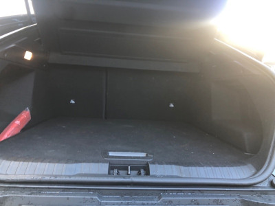 Renault Arkana Gebrauchtwagen