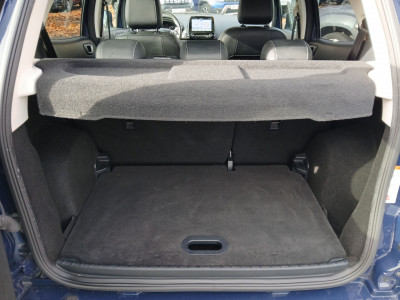 Ford EcoSport Gebrauchtwagen