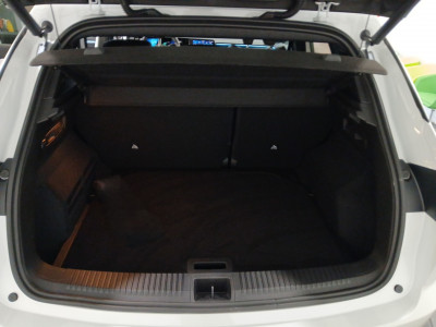 Renault Austral Neuwagen