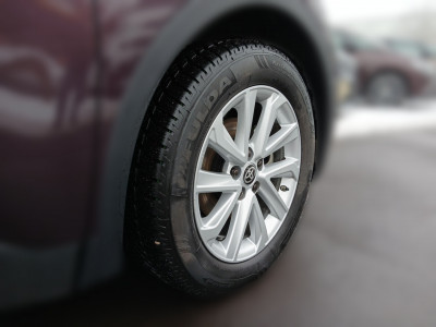 Toyota C-HR Gebrauchtwagen