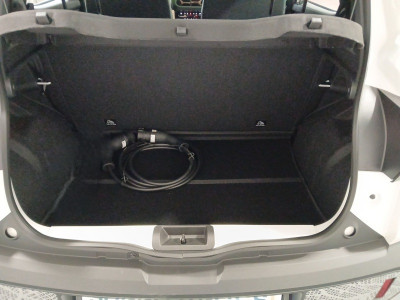 Dacia Spring Tageszulassung