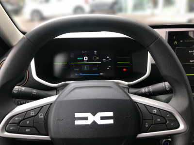 Dacia Spring Tageszulassung