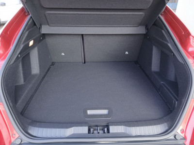 Renault Arkana Gebrauchtwagen