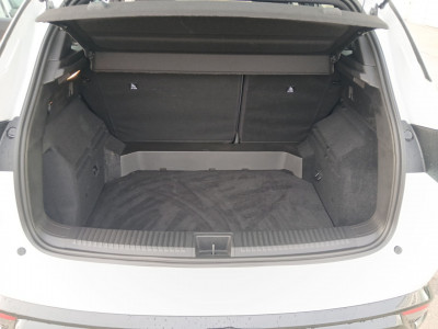 Renault Austral Vorführwagen