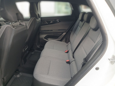 Renault Austral Vorführwagen